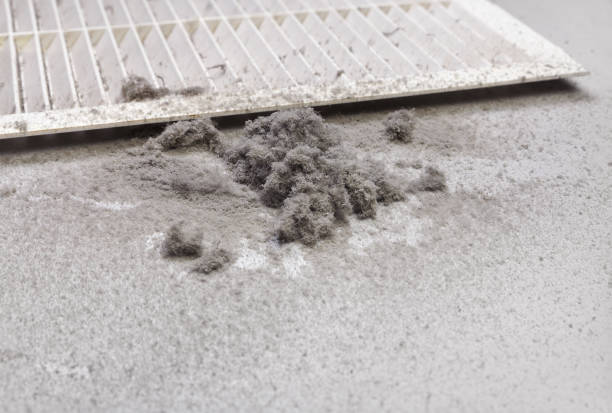 Best Ductwork Cleaning Services  in Bigfoot, TX