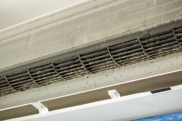 Best Ventilation Cleaning Services  in Bigfoot, TX